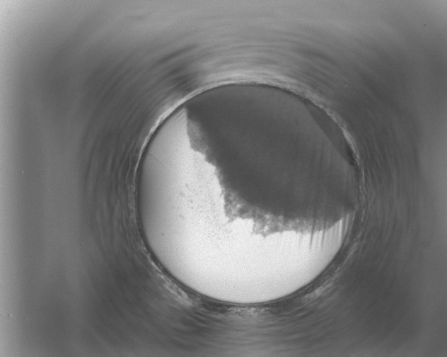 X0000058781529200510281958