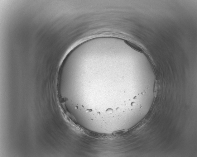 X0000058781530200510281958