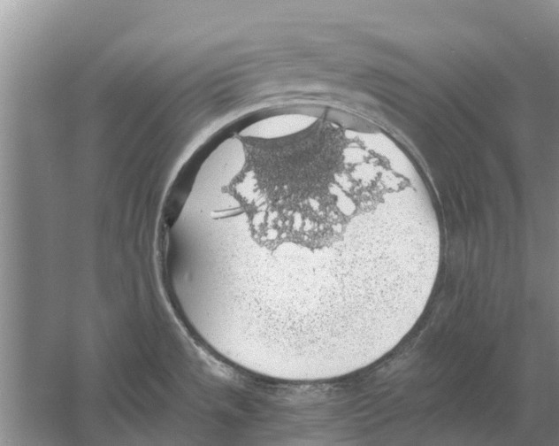 X0000058781533200510281958