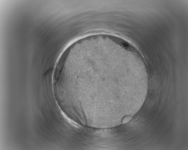 X0000058781535200510281958