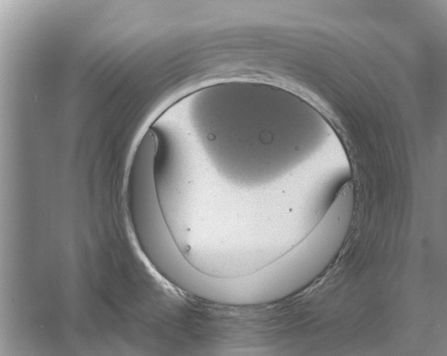 X0000058781536200510281958