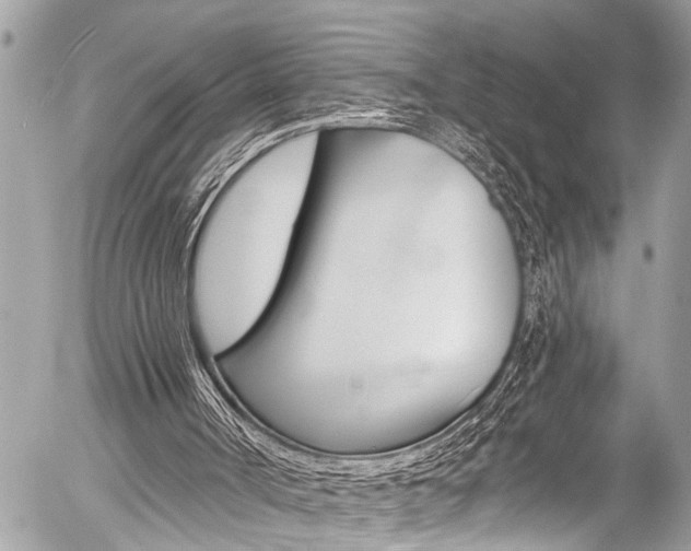 X0000058790002200509300853