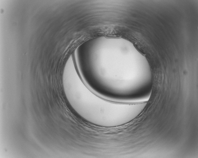 X0000058790035200509300852