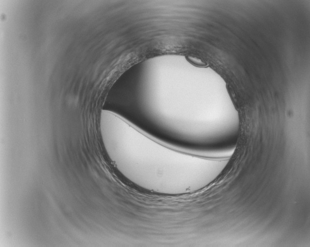 X0000058790044200509300852
