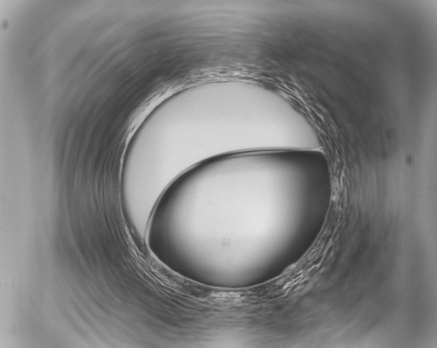 X0000058790052200509300851