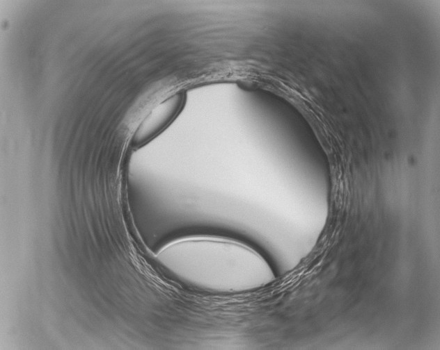 X0000058790100200509300851
