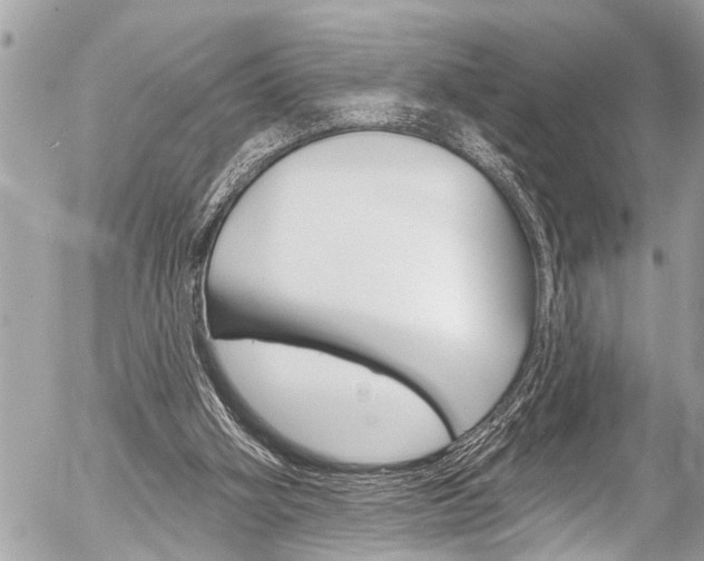 X0000058790106200509300851