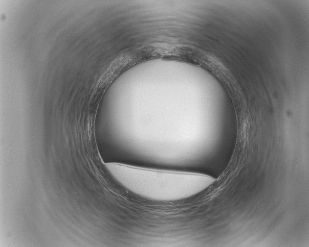 X0000058790121200509300851