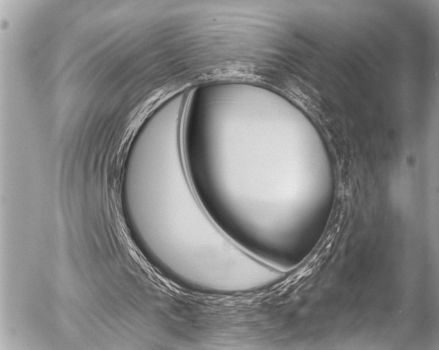 X0000058790193200509300850