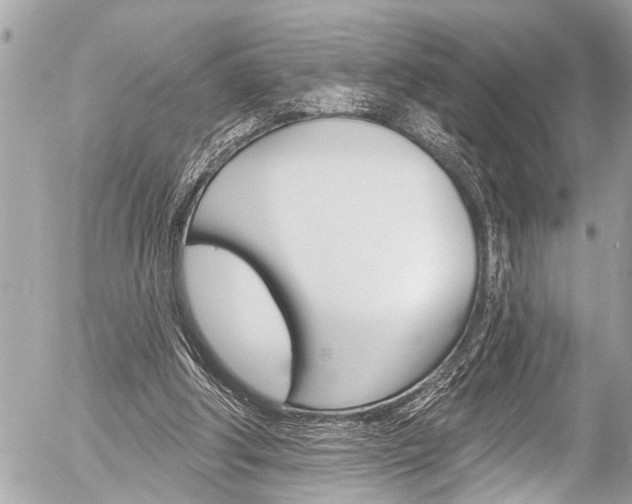 X0000058790202200509300849
