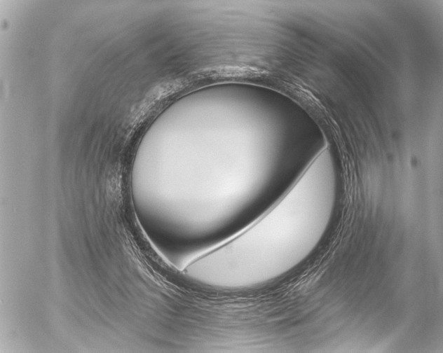 X0000058790207200509300849