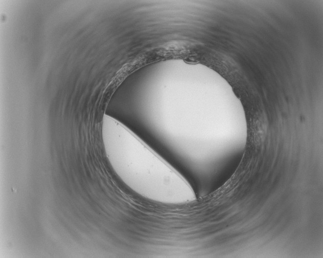 X0000058790232200509300849