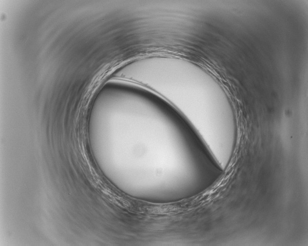 X0000058790241200509300848