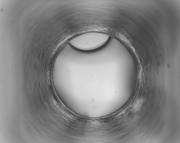 X0000058790249200509300848