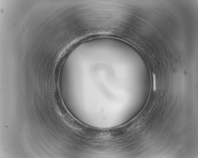 X0000058790252200509300848
