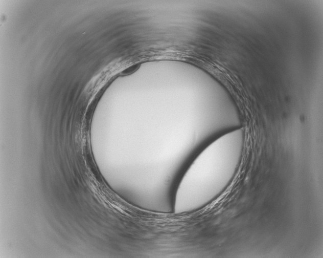 X0000058790290200509300848