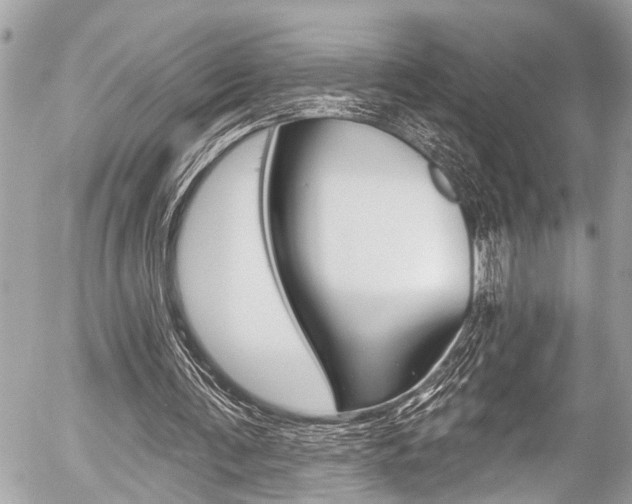 X0000058790291200509300848