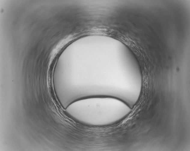X0000058790294200509300848