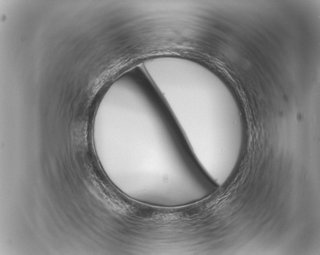 X0000058790299200509300848