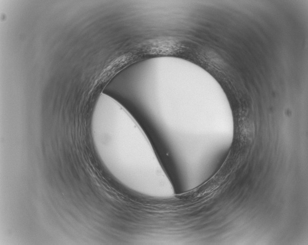 X0000058790312200509300848