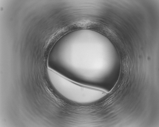 X0000058790404200509300846