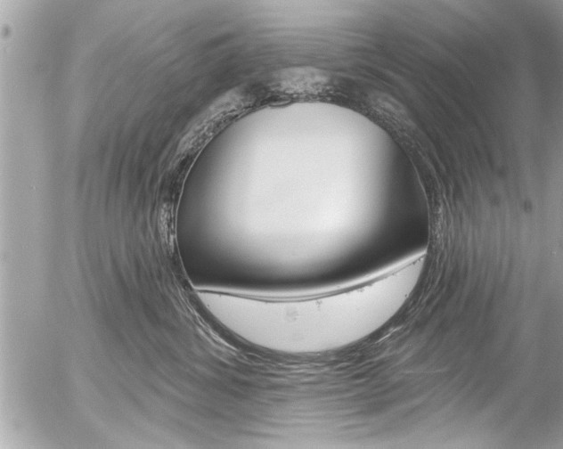 X0000058790428200509300846