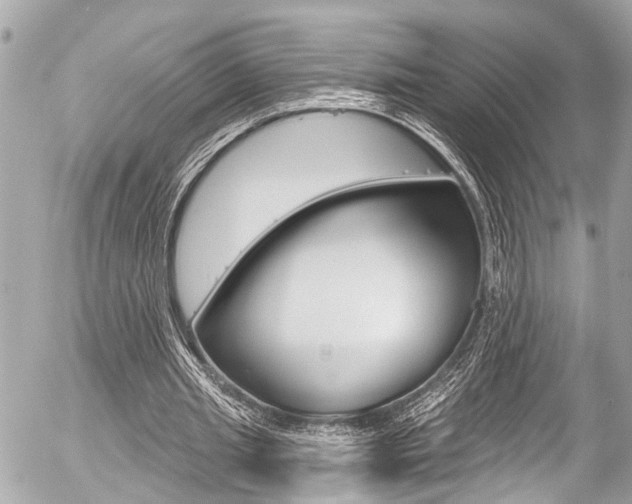 X0000058790437200509300845
