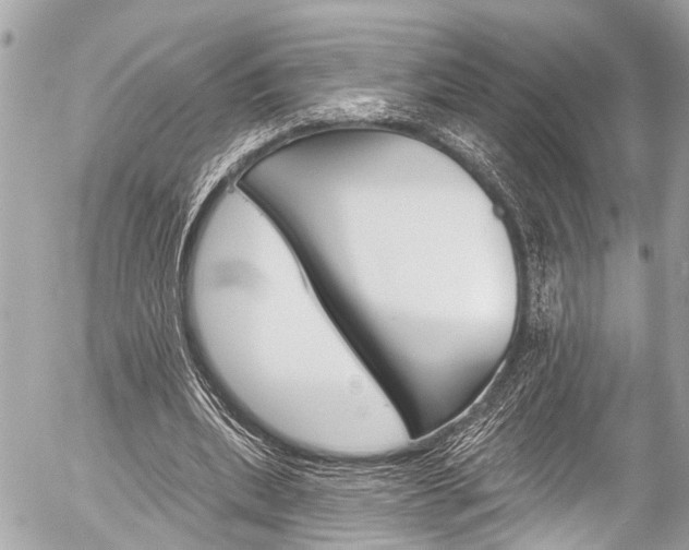 X0000058790439200509300845