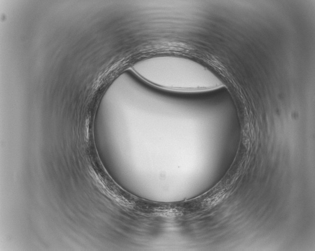 X0000058790454200509300845
