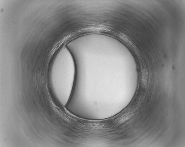 X0000058790486200509300845