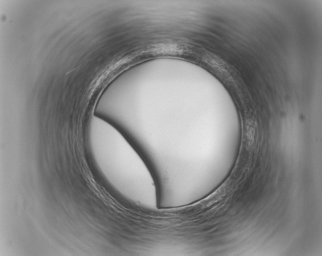 X0000058790487200509300845