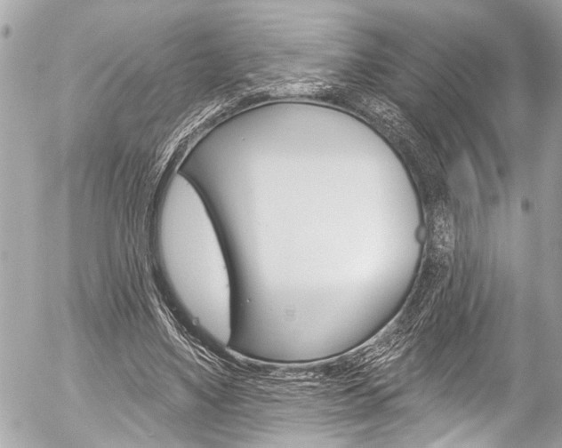 X0000058790491200509300845