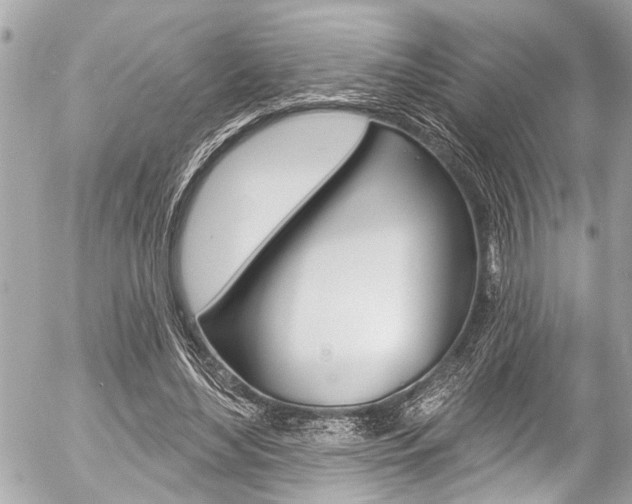 X0000058790492200509300845