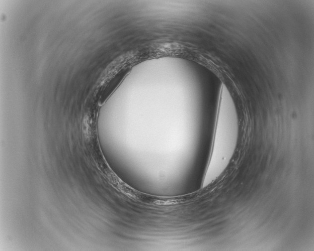 X0000058790520200509300844
