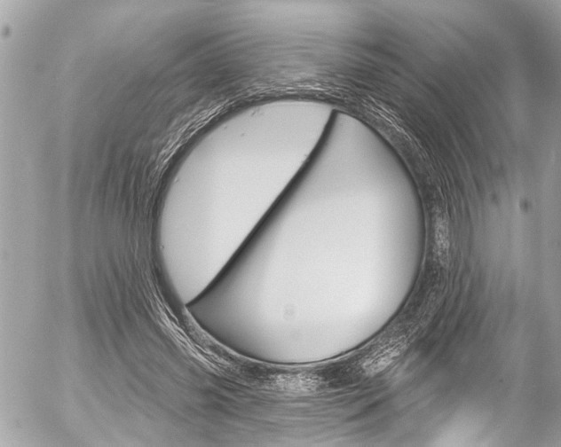 X0000058790541200509300843