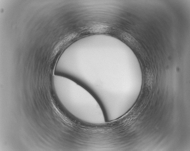 X0000058790586200509300843