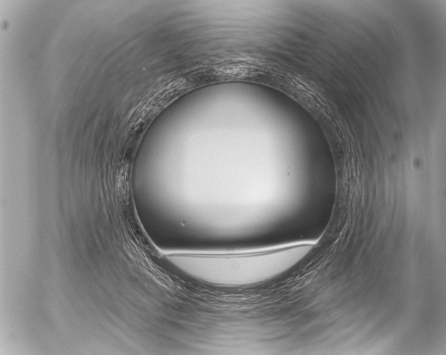 X0000058790601200509300843