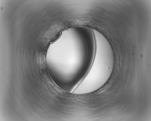 X0000058790624200509300842