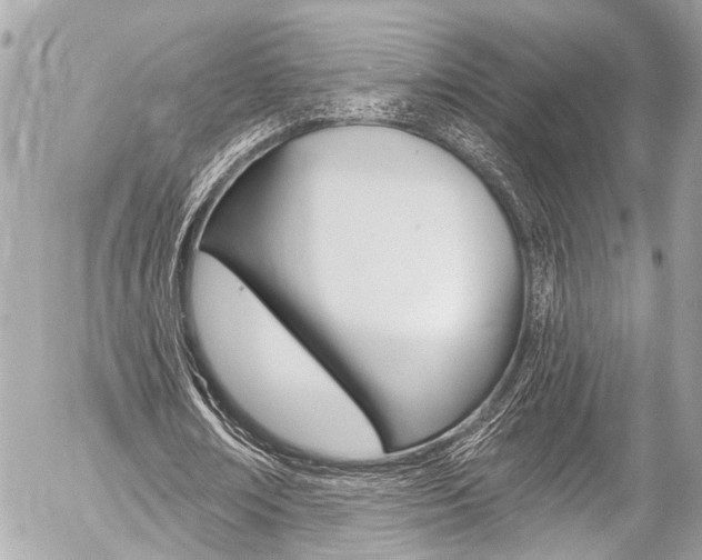 X0000058790674200509300842