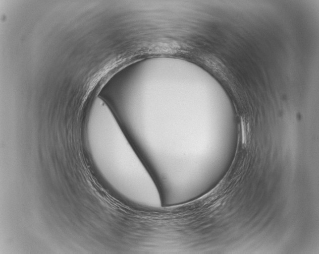 X0000058790675200509300842