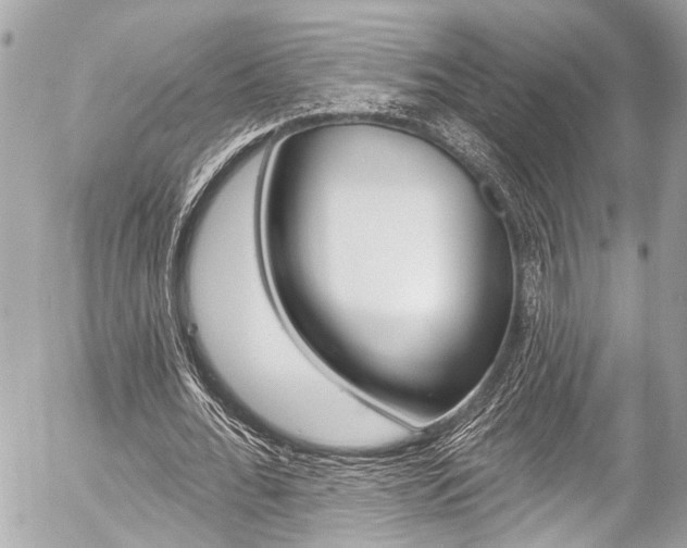 X0000058790676200509300842