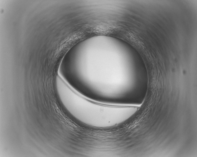 X0000058790689200509300841