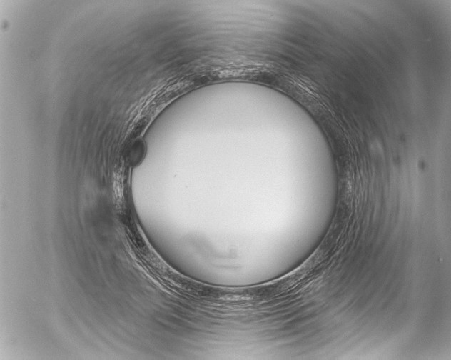 X0000058790691200509300841
