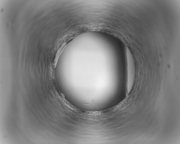 X0000058790720200509300841