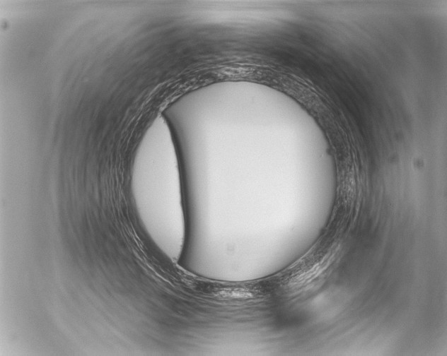 X0000058790749200509300840