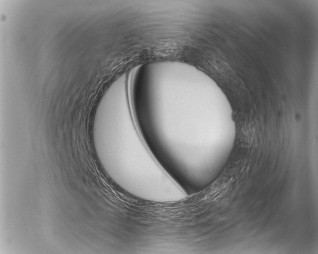X0000058790817200509300838