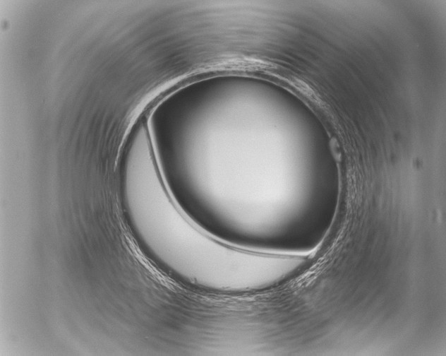 X0000058790838200509300839