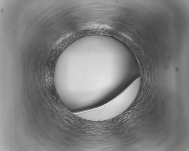 X0000058790869200509300838
