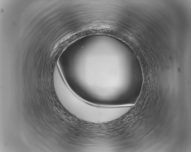 X0000058790920200509300837
