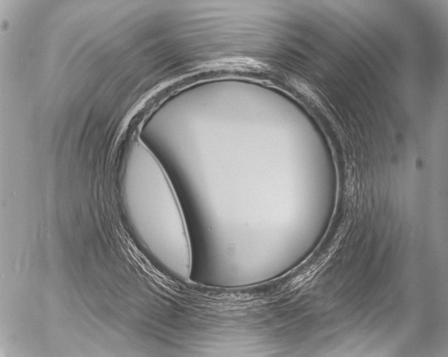 X0000058790923200509300837